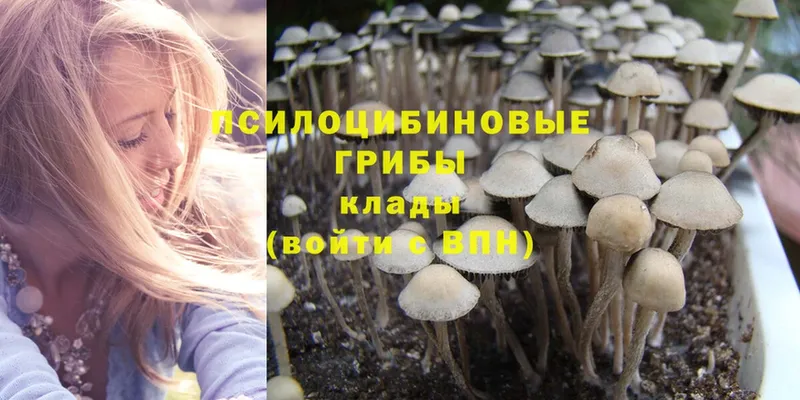 Псилоцибиновые грибы Cubensis  Агидель 